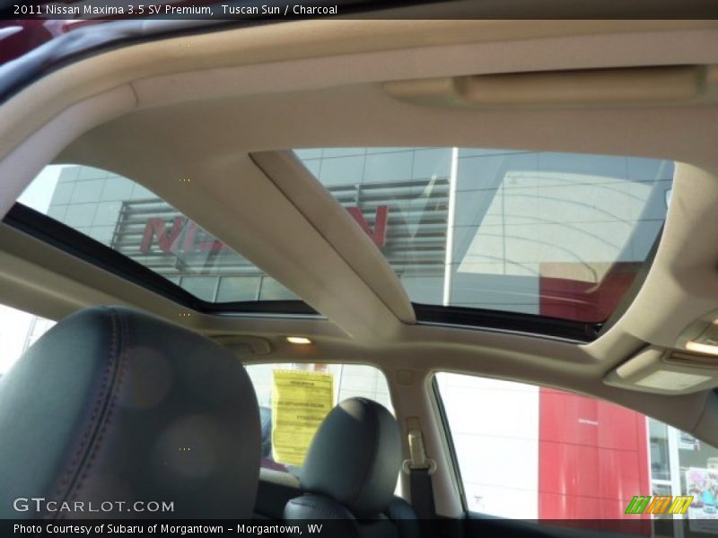 Tuscan Sun / Charcoal 2011 Nissan Maxima 3.5 SV Premium