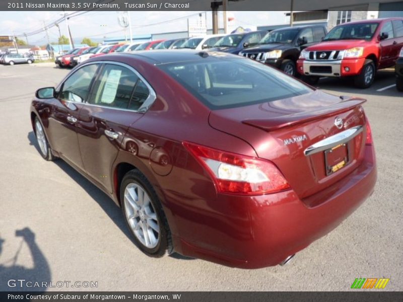 Tuscan Sun / Charcoal 2011 Nissan Maxima 3.5 SV Premium
