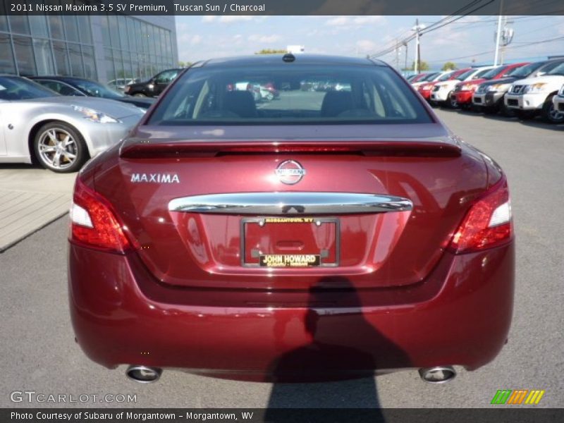 Tuscan Sun / Charcoal 2011 Nissan Maxima 3.5 SV Premium