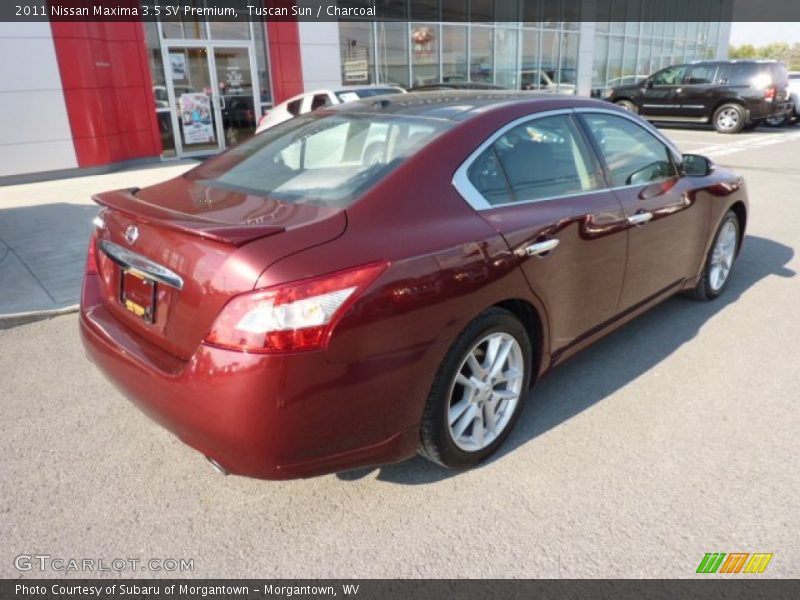 Tuscan Sun / Charcoal 2011 Nissan Maxima 3.5 SV Premium