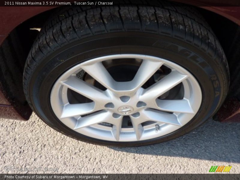 Tuscan Sun / Charcoal 2011 Nissan Maxima 3.5 SV Premium