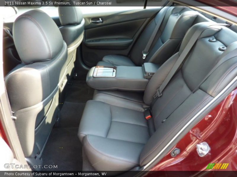 Tuscan Sun / Charcoal 2011 Nissan Maxima 3.5 SV Premium