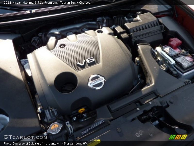 Tuscan Sun / Charcoal 2011 Nissan Maxima 3.5 SV Premium