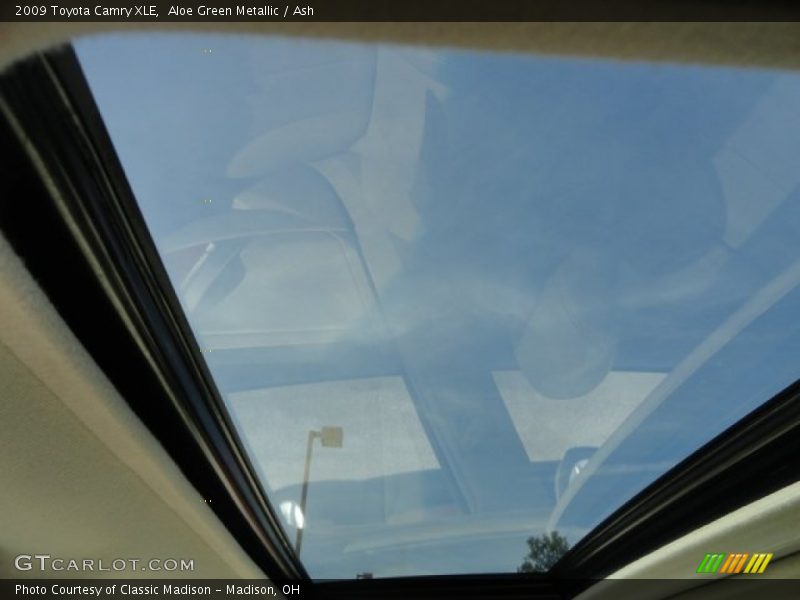 Aloe Green Metallic / Ash 2009 Toyota Camry XLE