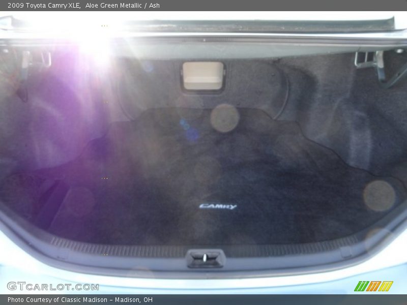 Aloe Green Metallic / Ash 2009 Toyota Camry XLE