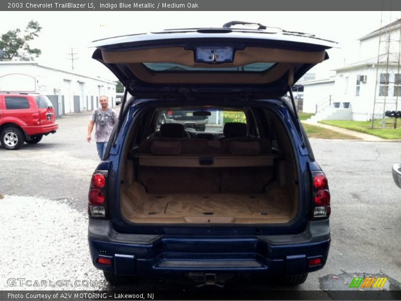 Indigo Blue Metallic / Medium Oak 2003 Chevrolet TrailBlazer LS