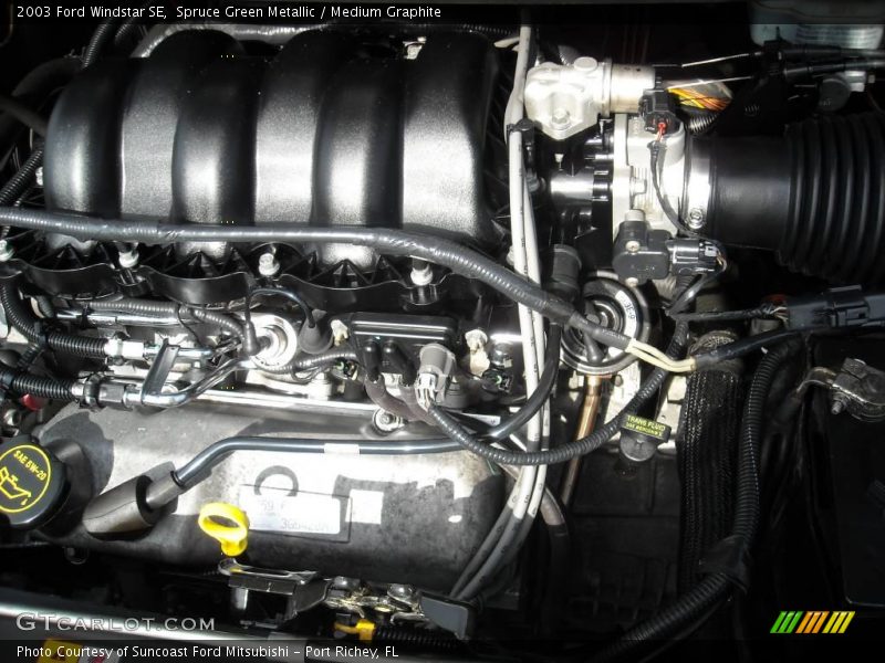 Spruce Green Metallic / Medium Graphite 2003 Ford Windstar SE