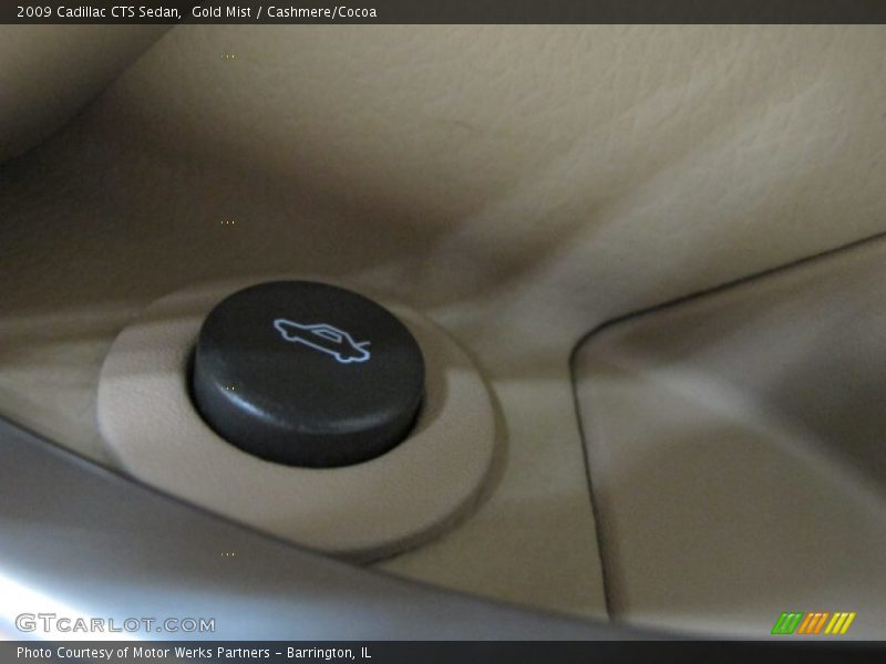 Gold Mist / Cashmere/Cocoa 2009 Cadillac CTS Sedan
