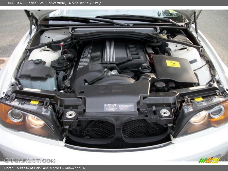 Alpine White / Grey 2004 BMW 3 Series 325i Convertible