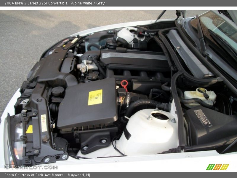 Alpine White / Grey 2004 BMW 3 Series 325i Convertible