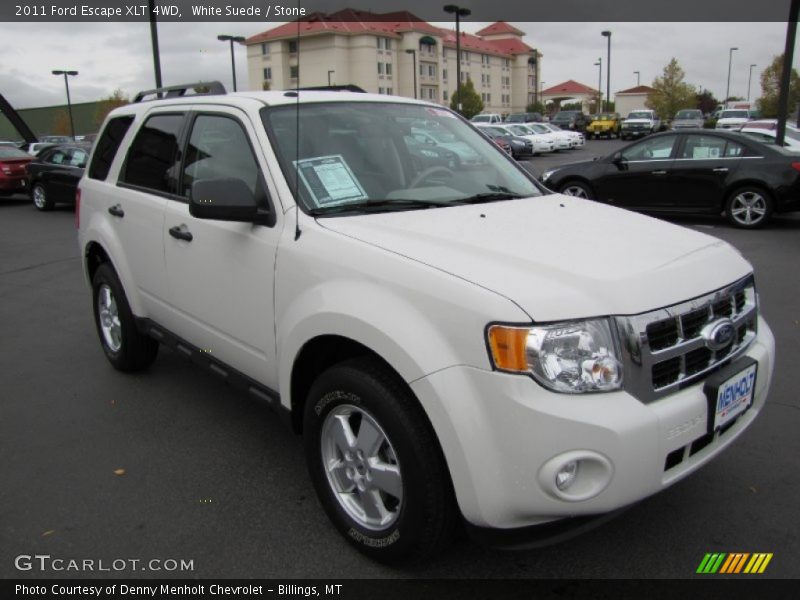 White Suede / Stone 2011 Ford Escape XLT 4WD