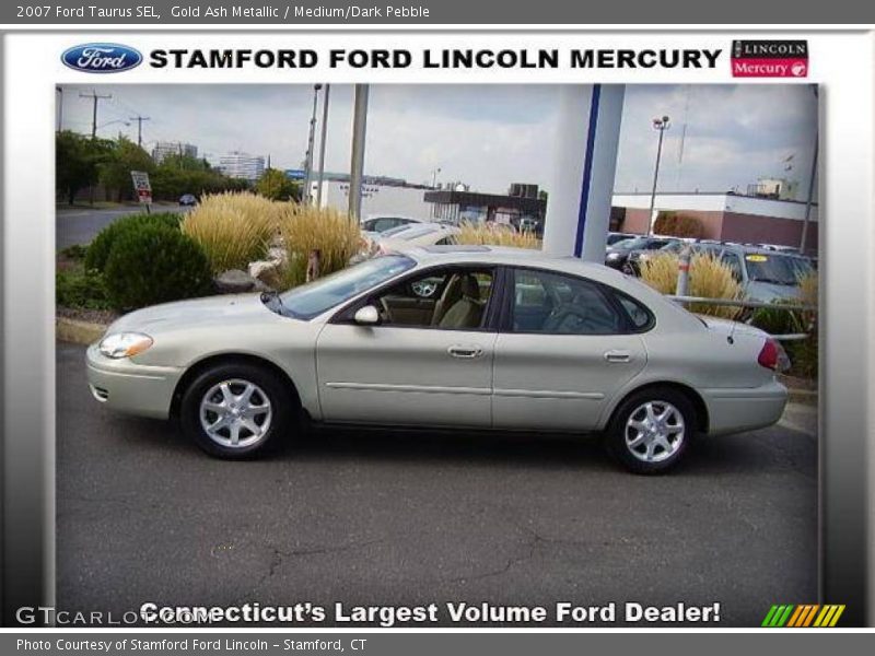 Gold Ash Metallic / Medium/Dark Pebble 2007 Ford Taurus SEL