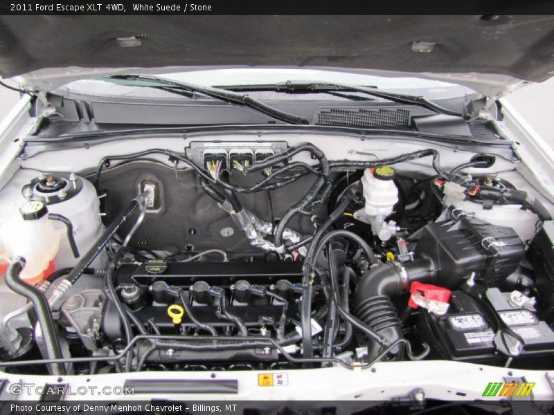 White Suede / Stone 2011 Ford Escape XLT 4WD
