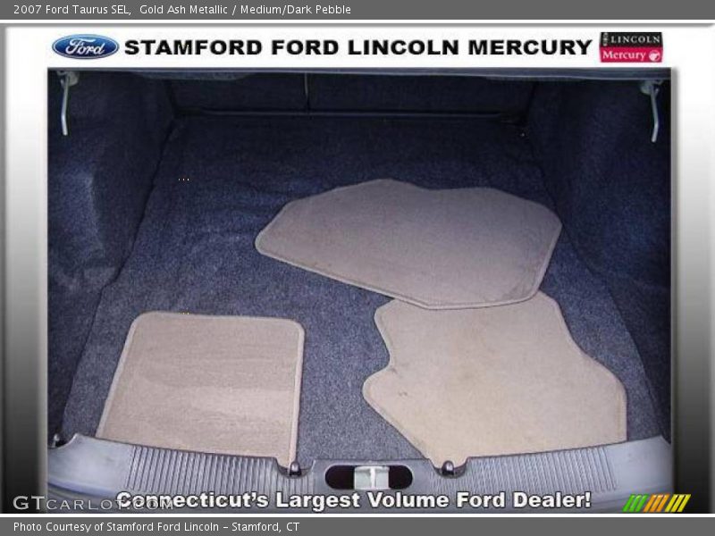 Gold Ash Metallic / Medium/Dark Pebble 2007 Ford Taurus SEL
