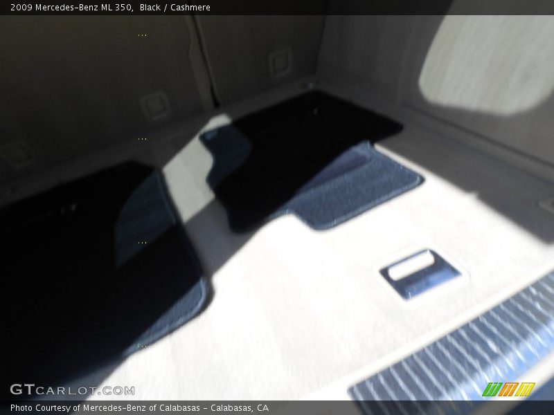 Black / Cashmere 2009 Mercedes-Benz ML 350