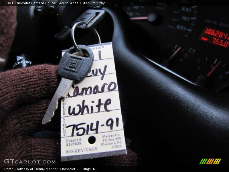 Arctic White / Medium Gray 2001 Chevrolet Camaro Coupe