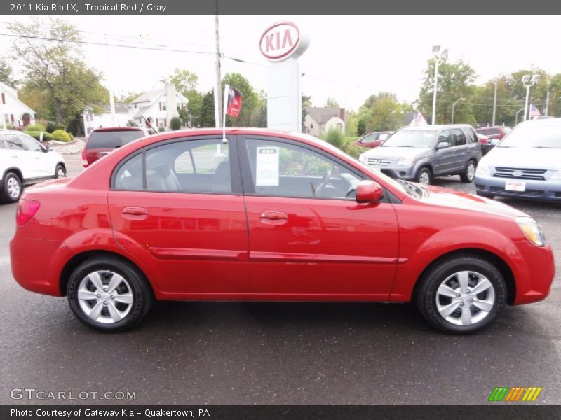 Tropical Red / Gray 2011 Kia Rio LX