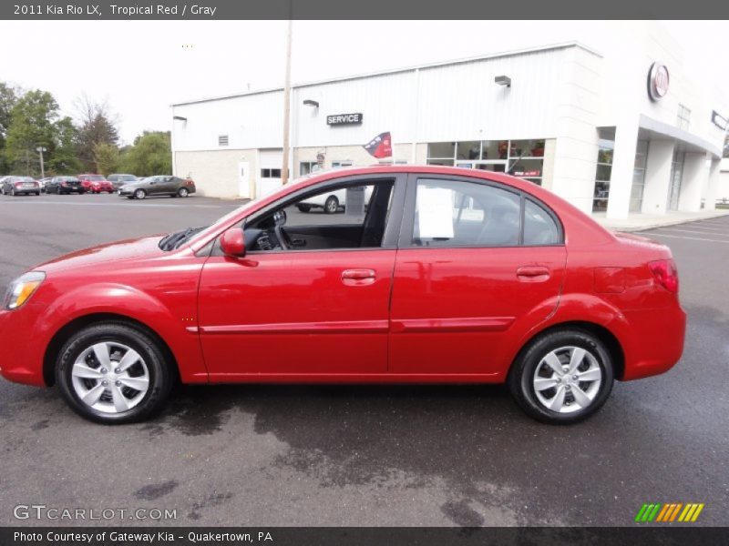 Tropical Red / Gray 2011 Kia Rio LX