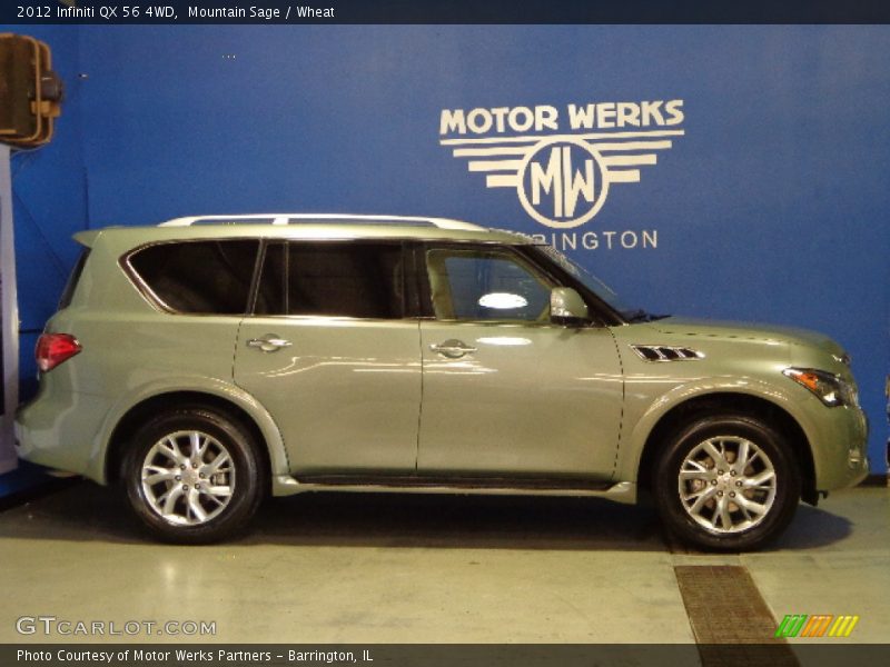 Mountain Sage / Wheat 2012 Infiniti QX 56 4WD