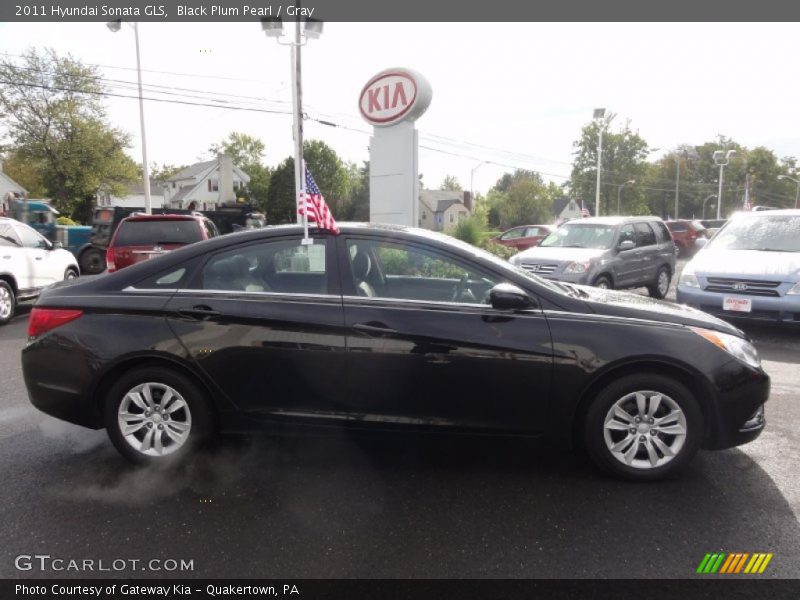 Black Plum Pearl / Gray 2011 Hyundai Sonata GLS