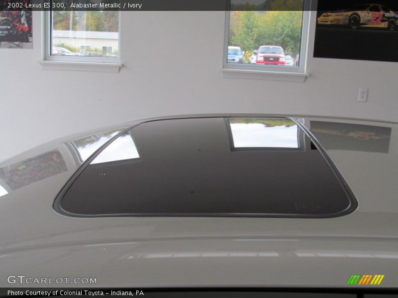 Alabaster Metallic / Ivory 2002 Lexus ES 300