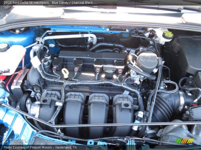 Blue Candy / Charcoal Black 2013 Ford Focus SE Hatchback