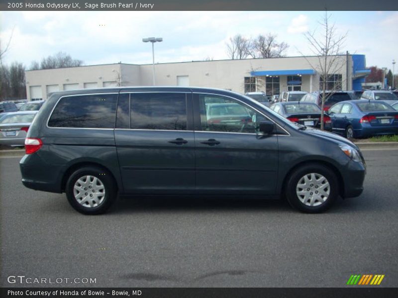 Sage Brush Pearl / Ivory 2005 Honda Odyssey LX