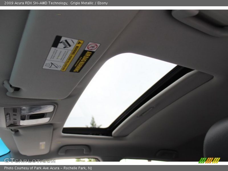 Grigio Metallic / Ebony 2009 Acura RDX SH-AWD Technology