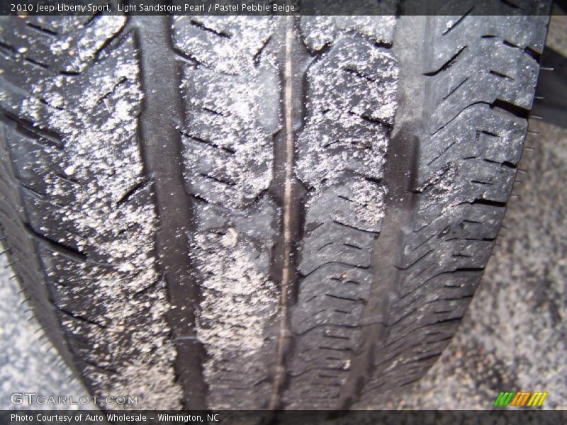 Light Sandstone Pearl / Pastel Pebble Beige 2010 Jeep Liberty Sport