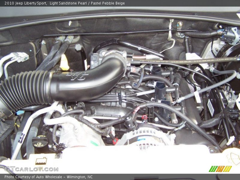 Light Sandstone Pearl / Pastel Pebble Beige 2010 Jeep Liberty Sport