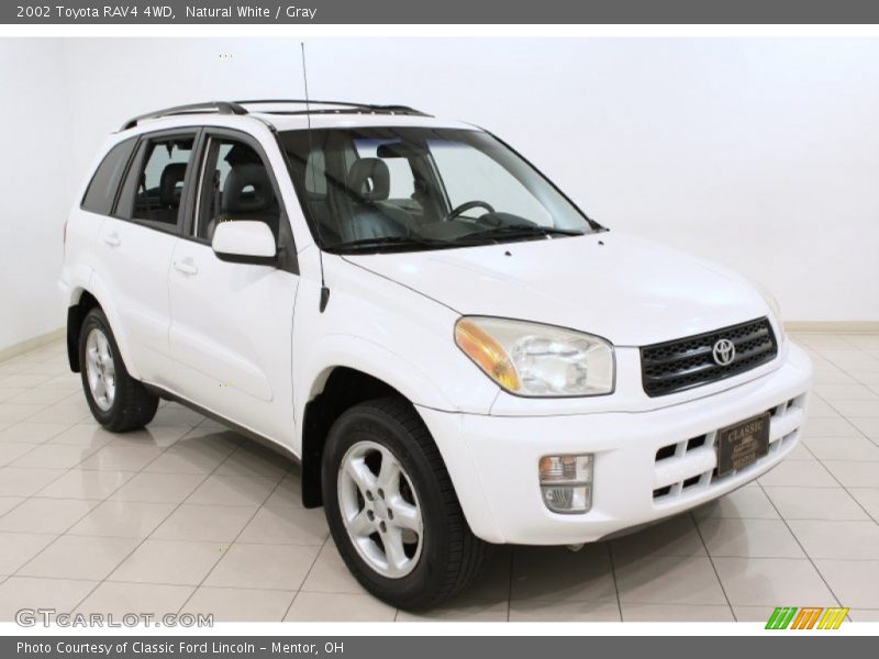Natural White / Gray 2002 Toyota RAV4 4WD