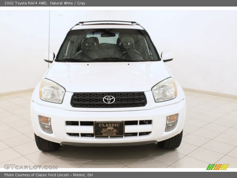 Natural White / Gray 2002 Toyota RAV4 4WD