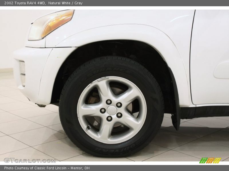 Natural White / Gray 2002 Toyota RAV4 4WD