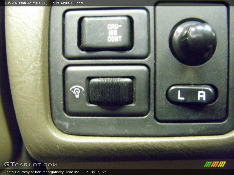 Cloud White / Blond 1999 Nissan Altima GXE