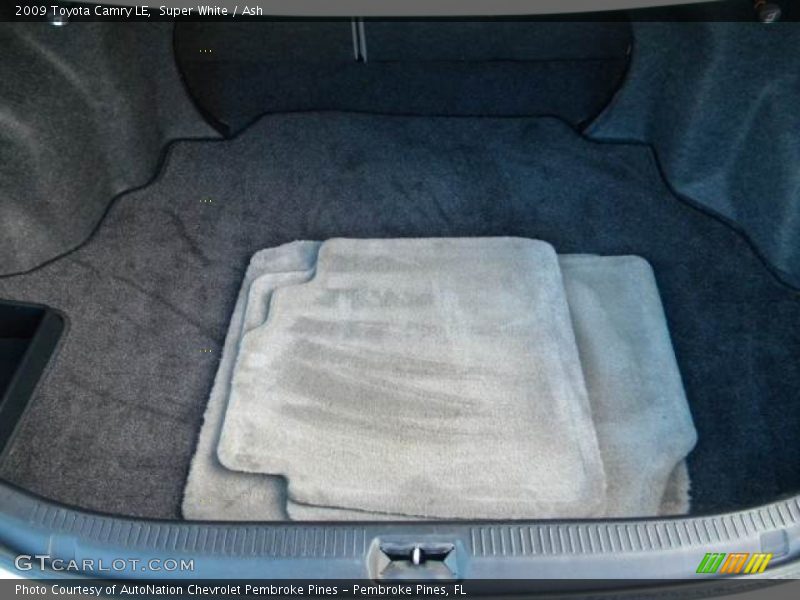 Super White / Ash 2009 Toyota Camry LE