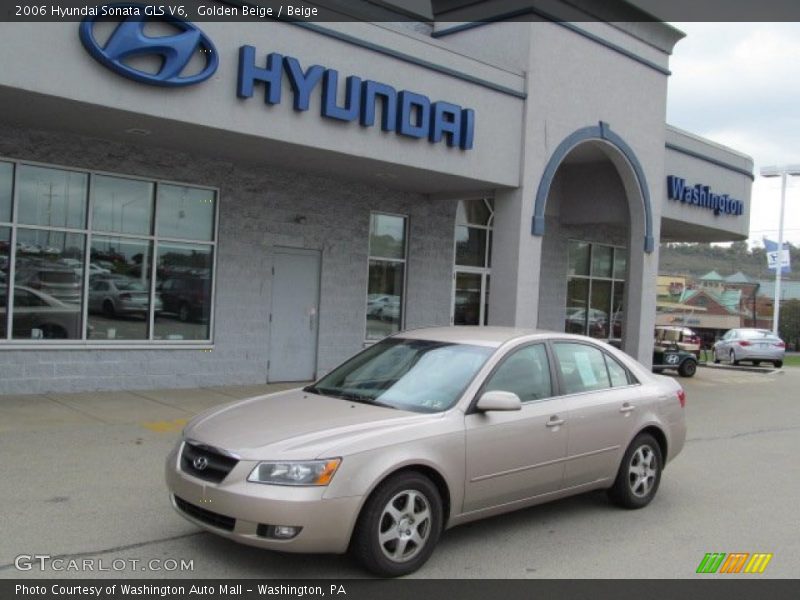 Golden Beige / Beige 2006 Hyundai Sonata GLS V6