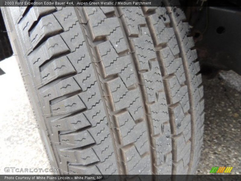 Aspen Green Metallic / Medium Parchment 2003 Ford Expedition Eddie Bauer 4x4