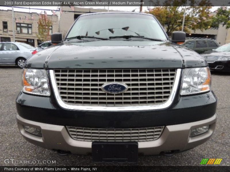 Aspen Green Metallic / Medium Parchment 2003 Ford Expedition Eddie Bauer 4x4
