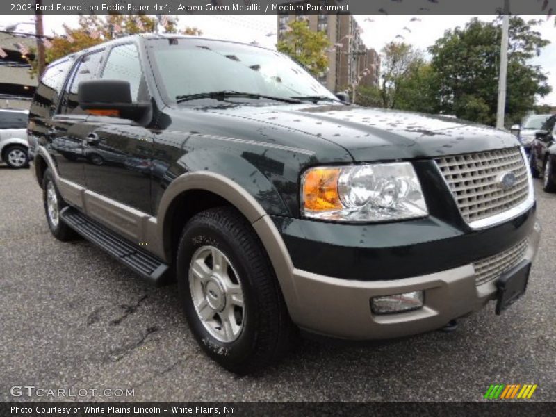 Aspen Green Metallic / Medium Parchment 2003 Ford Expedition Eddie Bauer 4x4