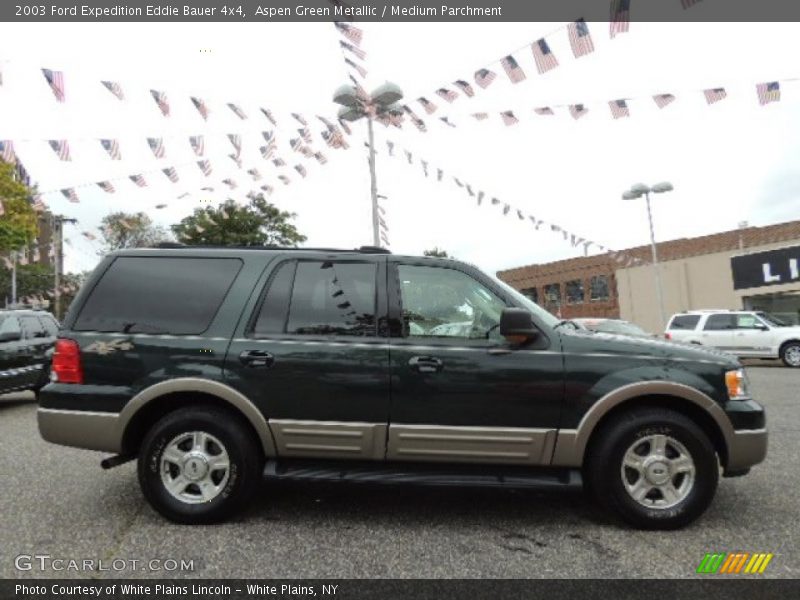 Aspen Green Metallic / Medium Parchment 2003 Ford Expedition Eddie Bauer 4x4