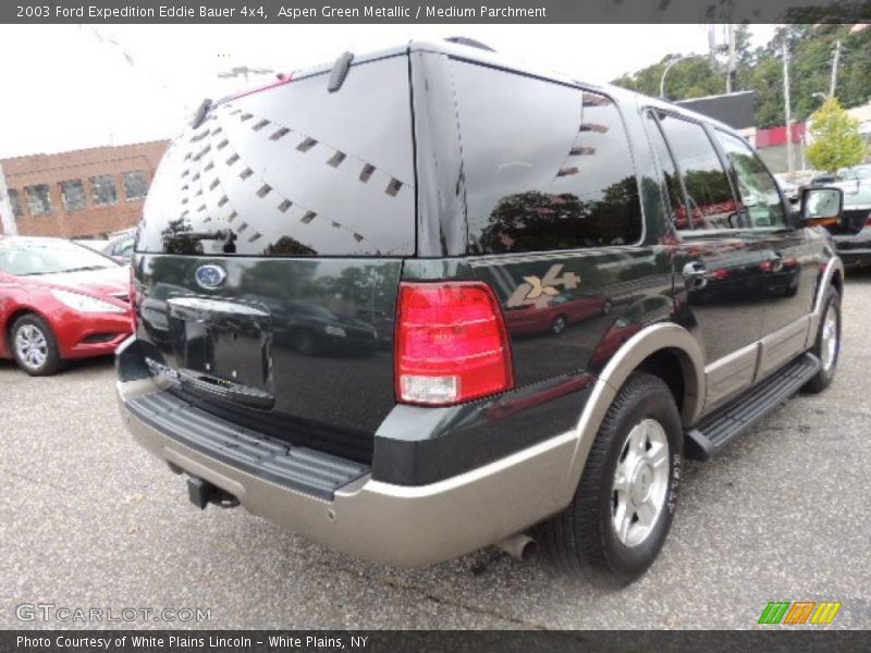 Aspen Green Metallic / Medium Parchment 2003 Ford Expedition Eddie Bauer 4x4