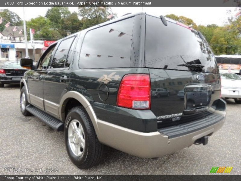 Aspen Green Metallic / Medium Parchment 2003 Ford Expedition Eddie Bauer 4x4