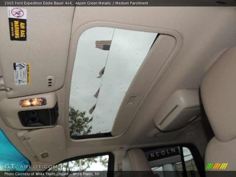Aspen Green Metallic / Medium Parchment 2003 Ford Expedition Eddie Bauer 4x4
