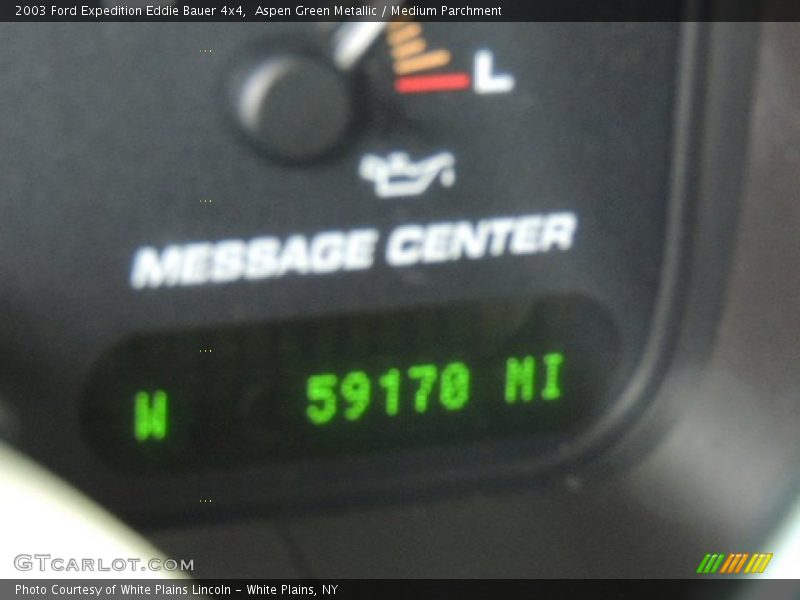 Aspen Green Metallic / Medium Parchment 2003 Ford Expedition Eddie Bauer 4x4