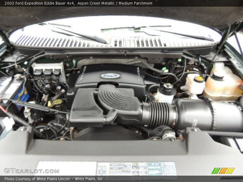 Aspen Green Metallic / Medium Parchment 2003 Ford Expedition Eddie Bauer 4x4