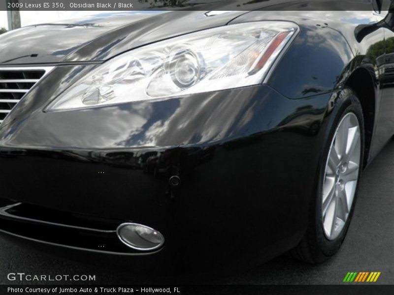 Obsidian Black / Black 2009 Lexus ES 350