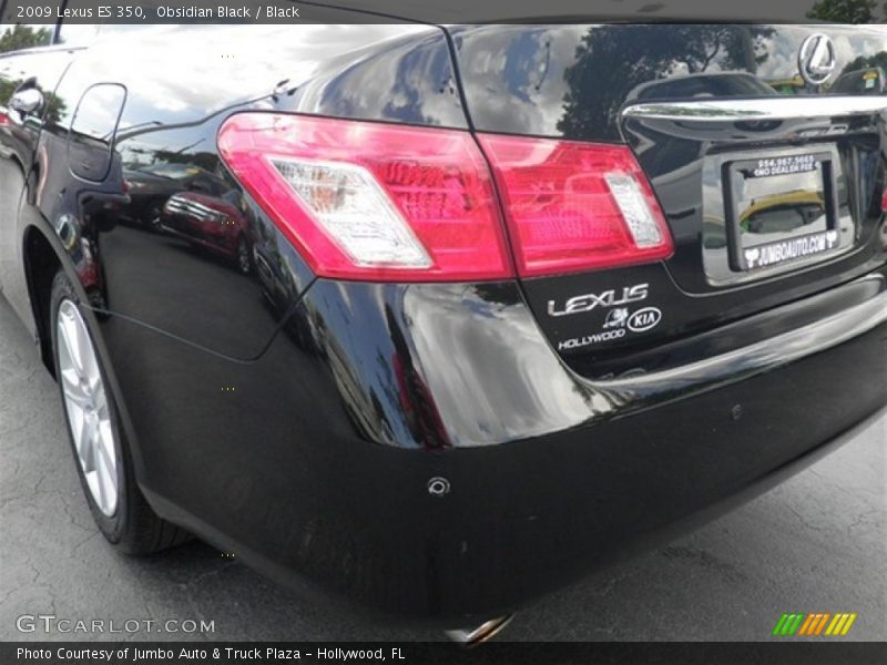 Obsidian Black / Black 2009 Lexus ES 350