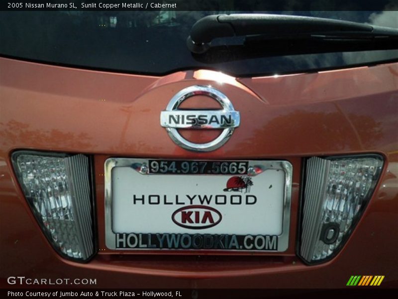 Sunlit Copper Metallic / Cabernet 2005 Nissan Murano SL