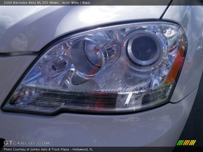 Arctic White / Black 2009 Mercedes-Benz ML 350 4Matic