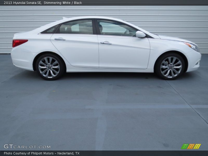 Shimmering White / Black 2013 Hyundai Sonata SE